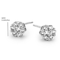 Juweel SILVER ROSE OORSTEKERS EA2250W Juweel SILVER ROSE OORSTEKERS EA2250W