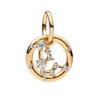 Juweel PANDORA MOMENTS ZODIAC AQUARIUS BEDEL 762717C01 Juweel PANDORA MOMENTS ZODIAC AQUARIUS BEDEL 762717C01