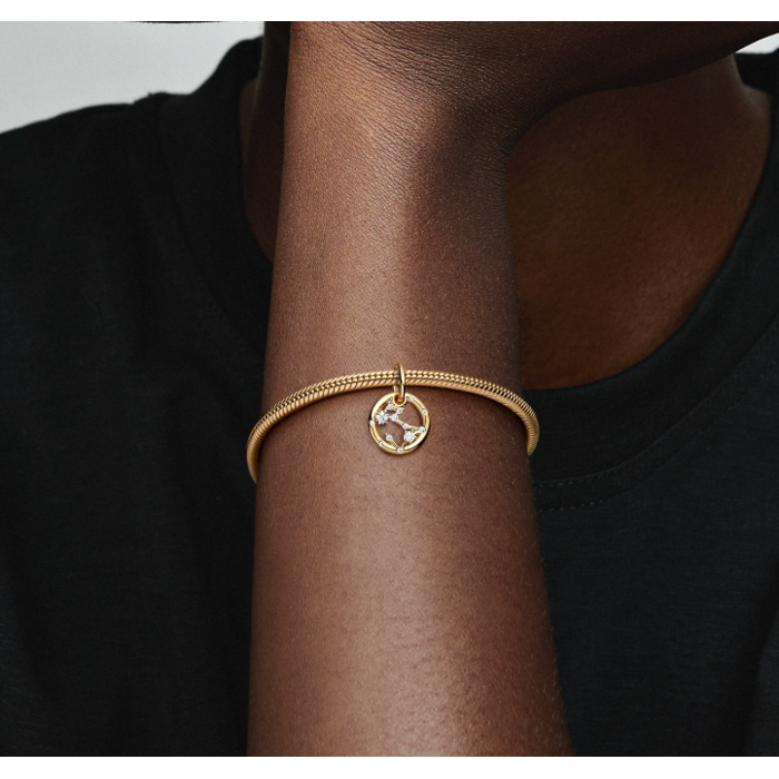 Juweel PANDORA MOMENTS ZODIAC PISCES BEDEL 762724C01
