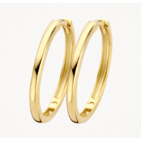 Juweel Blush Oorringen Geelgoud 14 karaat 7274YGO  Juweel Blush Oorringen Geelgoud 14 karaat 7274YGO