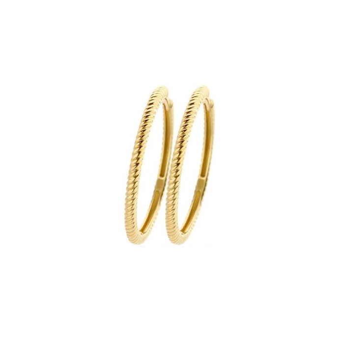 Juweel Blush oorbellen 14 karaat geel goud 7287YGO 