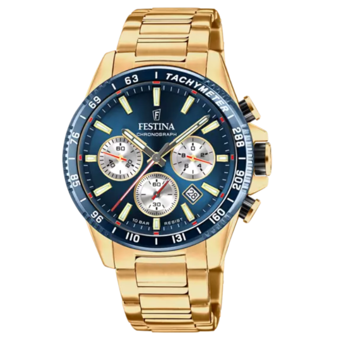 Horloge FESTINA TIMELESS F20634/2