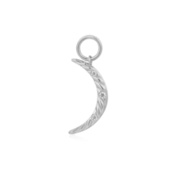 Juweel ANIA HAIE POT CHARMS MOON EARRING CHARM EC048-04H Juweel ANIA HAIE POT CHARMS MOON EARRING CHARM EC048-04H