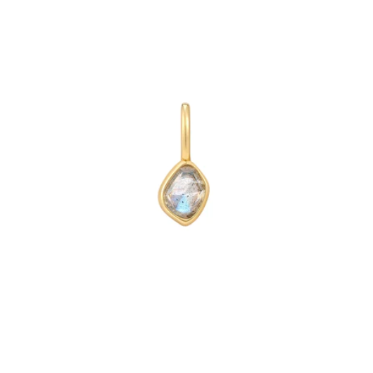 Juweel ANIA HAIE TURN ON THE CHARM LABRADORITE NECKLACE CHARM NC048-11G Juweel ANIA HAIE TURN ON THE CHARM LABRADORITE NECKLACE CHARM NC048-11G