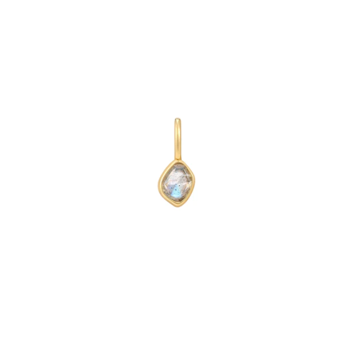 Juweel ANIA HAIE TURN ON THE CHARM LABRADORITE NECKLACE CHARM NC048-11G
