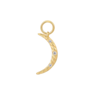 Juweel ANIA HAIE POT CHARMS MOON EARRING CHARM EC048-04G Juweel ANIA HAIE POT CHARMS MOON EARRING CHARM EC048-04G