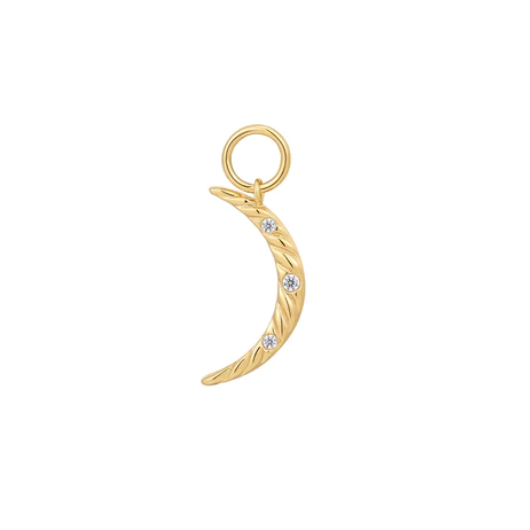 Juweel ANIA HAIE POT CHARMS MOON EARRING CHARM EC048-04G Juweel ANIA HAIE POT CHARMS MOON EARRING CHARM EC048-04G