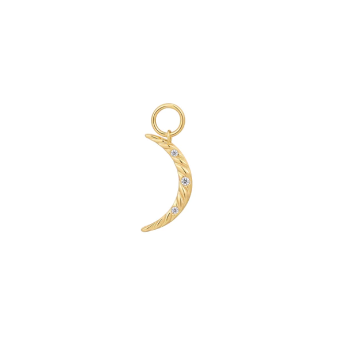 Juweel ANIA HAIE POT CHARMS MOON EARRING CHARM EC048-04G
