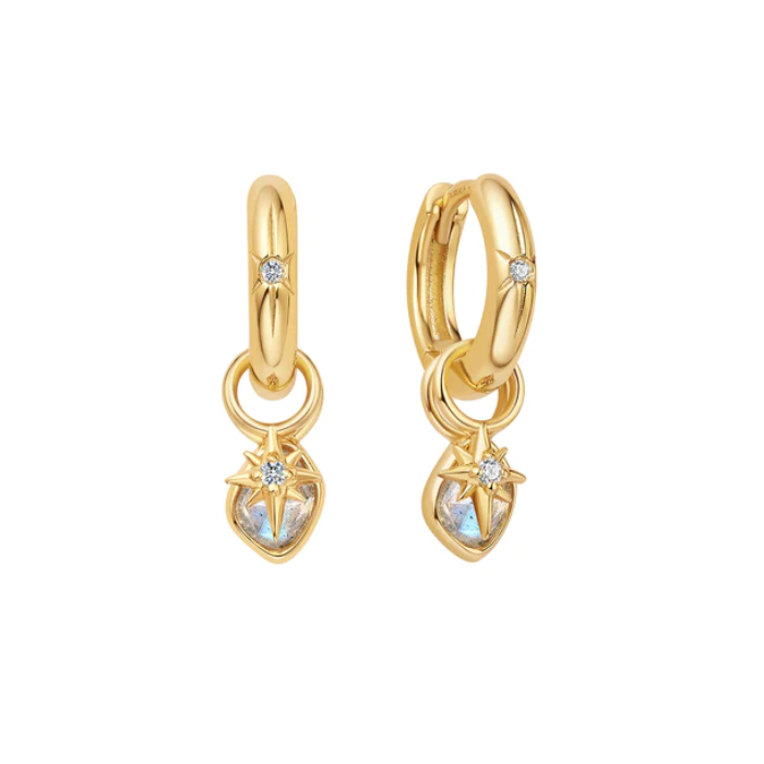 Juweel ANIA HAIE TURN ON THE CHARM LABRADOLITE EARRING CHARM EC048-07G
