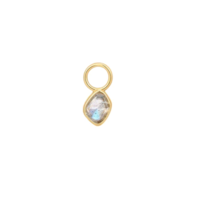 Juweel ANIA HAIE TURN ON THE CHARM LABRADOLITE EARRING CHARM EC048-07G Juweel ANIA HAIE TURN ON THE CHARM LABRADOLITE EARRING CHARM EC048-07G