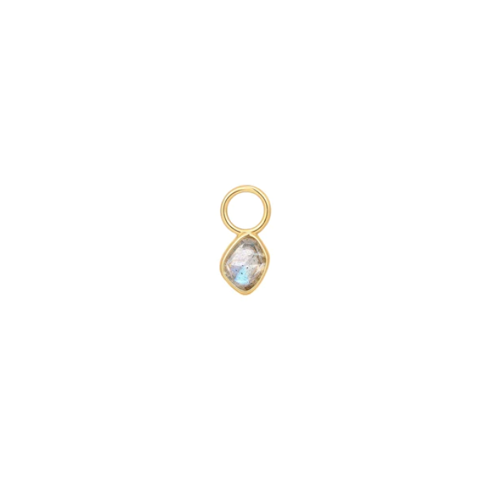 Juweel ANIA HAIE TURN ON THE CHARM LABRADOLITE EARRING CHARM EC048-07G