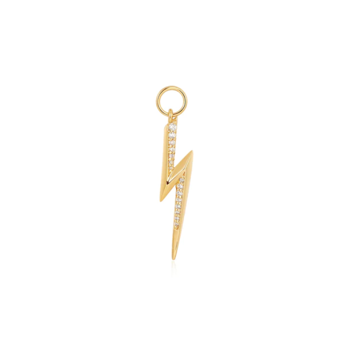 Juweel ANIA HAIE POT CHARMS LIGHTNING EARRING CHARM EC048-15G