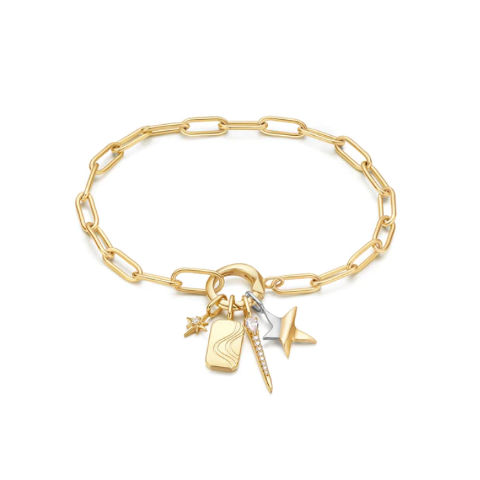 Juweel ANIA HAIE TURN ON THE CHARM WAVE TAG NECKLACE CHARM NC048-09G