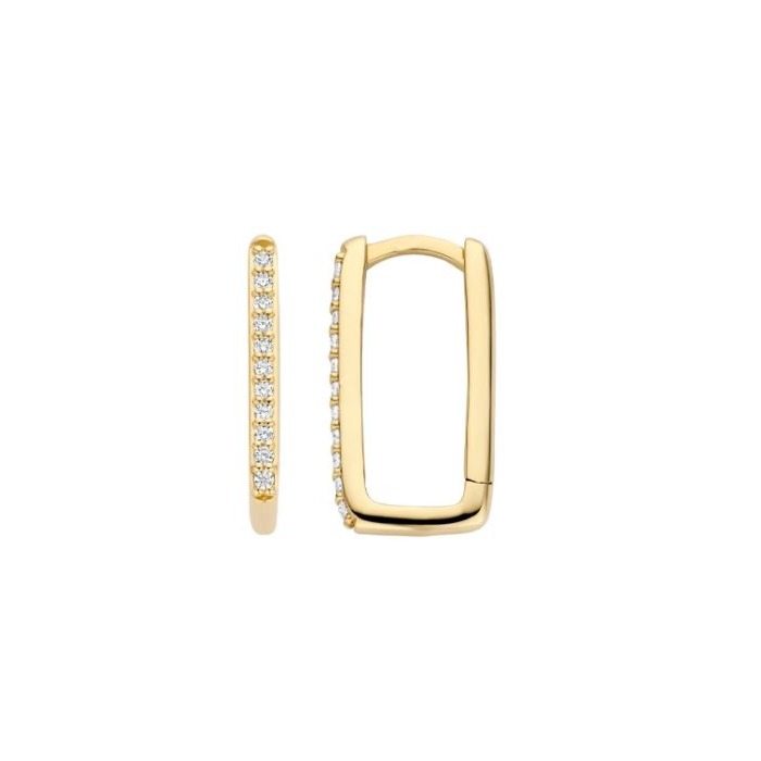 Juweel Blush Oorringen Geelgoud 14 karaat zirconium 7318YZI