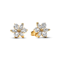 Juweel PANDORA HERBARIUM CLUSTER STUD EARRINGS 262633C01 Juweel PANDORA HERBARIUM CLUSTER STUD EARRINGS 262633C01