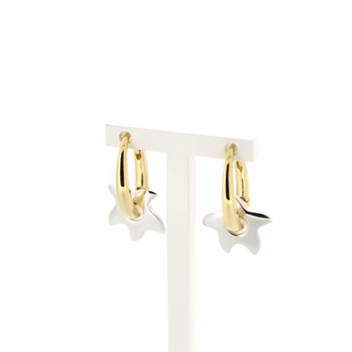Mattioli_oorbellen_bicolorgoud_18karaat_tweedehands_79158-1750_Juwelier_Clem_Vercammen-1.jpg