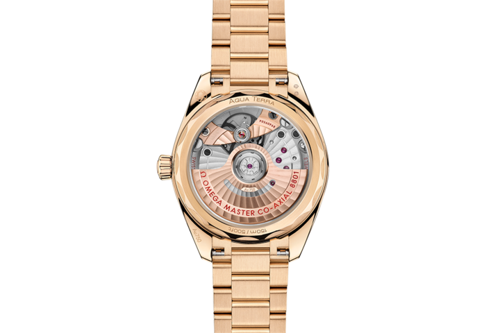 OMEGA Seamaster Aqua Terra OMEGA Seamaster Aqua Terra