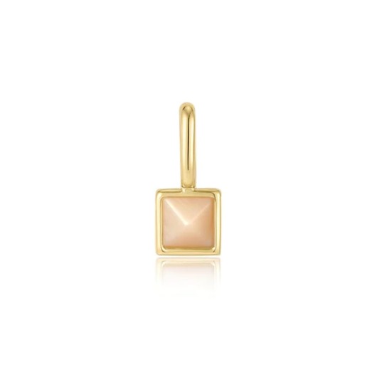 Juweel ANIA HAIE POP CHARMS MOTHER OF PEARL CHARM NC055-02G Juweel ANIA HAIE POP CHARMS MOTHER OF PEARL CHARM NC055-02G