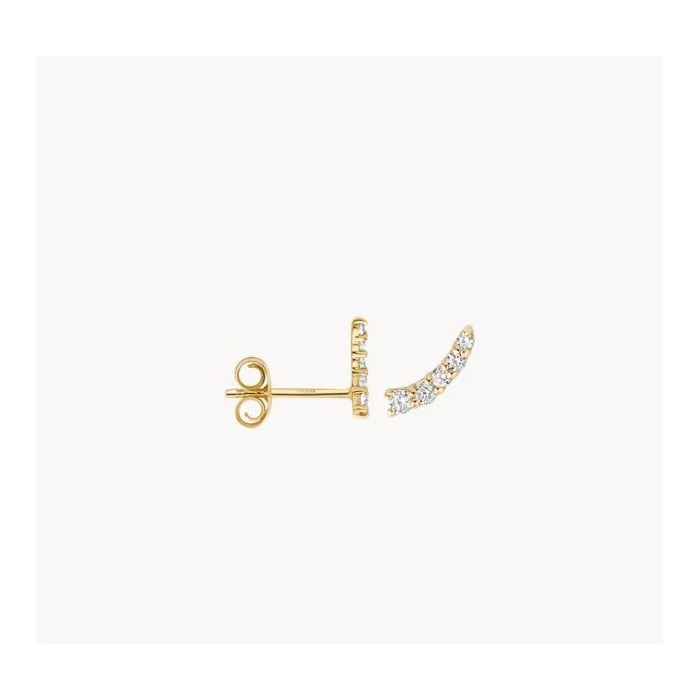 Juweel Blush Oorringen Geelgoud 14 karaat zirconium 7319YZI 