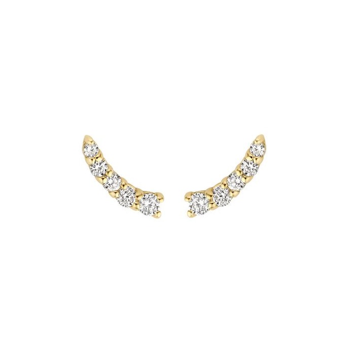 Juweel Blush Oorringen Geelgoud 14 karaat zirconium 7319YZI 