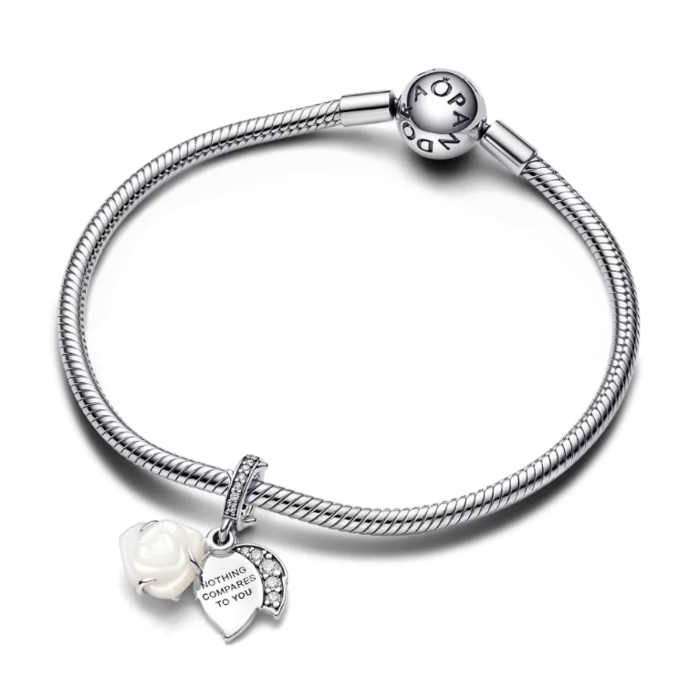 263272 01 Pandora 793200C01 Juwelier Clem Vercammen.png