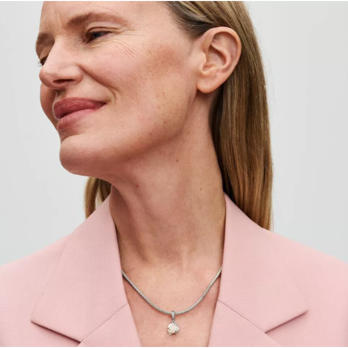 263272 01 Pandora 793200C01 Juwelier Clem Vercammen.png