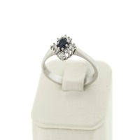 Juweel Ring witgoud 18 karaat Saffier en briljanten 'CV-2013-TWDH' Juweel Ring witgoud 18 karaat Saffier en briljanten 'CV-2013-TWDH'