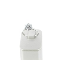 Juweel Ring witgoud 18 karaat briljanten 'CV-2016 - TWDH'  Juweel Ring witgoud 18 karaat briljanten 'CV-2016 - TWDH'