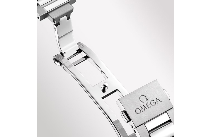 OMEGA Seamaster Aqua Terra OMEGA Seamaster Aqua Terra