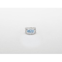 Juweel CLEM VERCAMMEN COLLECTION RING 18K WITGOUD BRILJANT AQUAMARINE AB16975BA Juweel CLEM VERCAMMEN COLLECTION RING 18K WITGOUD BRILJANT AQUAMARINE AB16975BA
