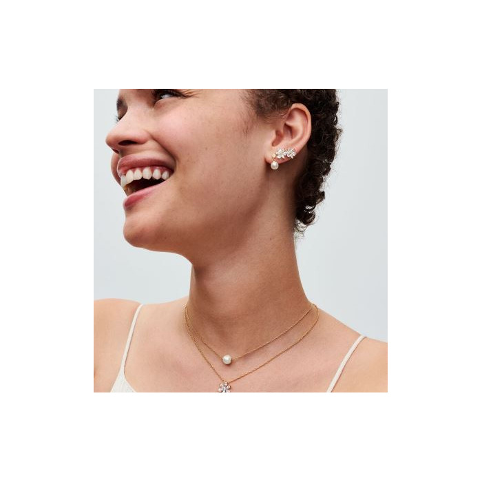 Juweel PANDORA DROP EARRINGS 263153C01 