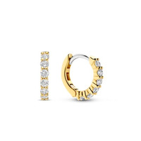 Juweel Ti Sento oorstekers 7956ZY  Juweel Ti Sento oorstekers 7956ZY