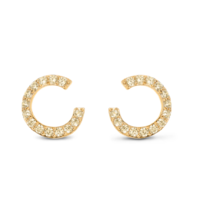 Juweel BRONZALLURE EARRINGS WSBZ02427Y.CH  Juweel BRONZALLURE EARRINGS WSBZ02427Y.CH