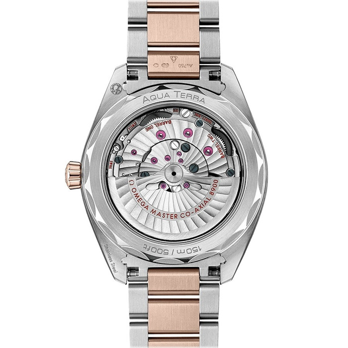 Omega_Seamaster_Aqua_Terra_22020412102001_Juwelier_Clem_Vercammen_2.jpg