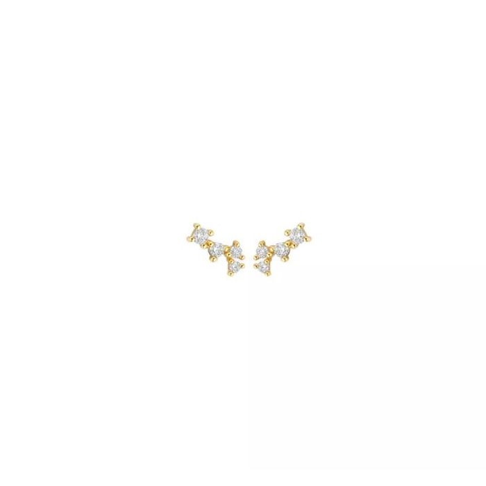 Juweel BLUSH OORRINGEN 14K GOUD 7373YZI 