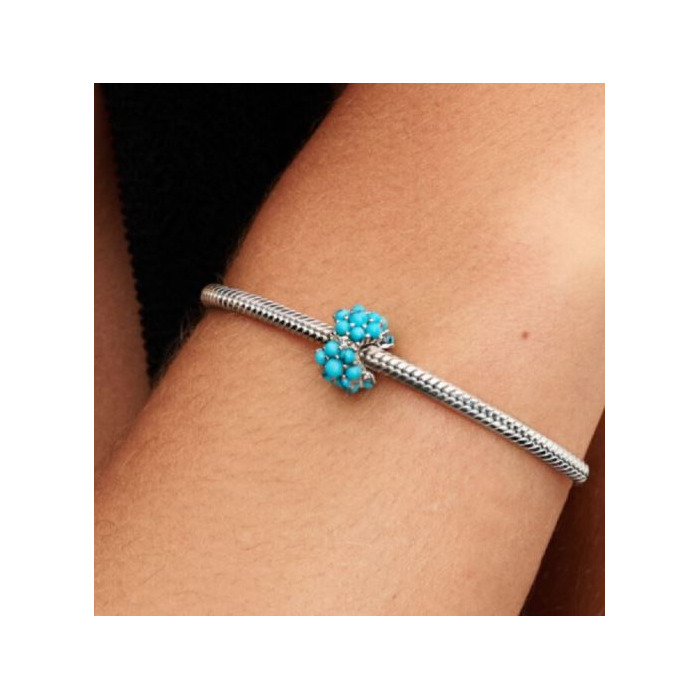 Juweel PANDORA CHARM 793897C02 
