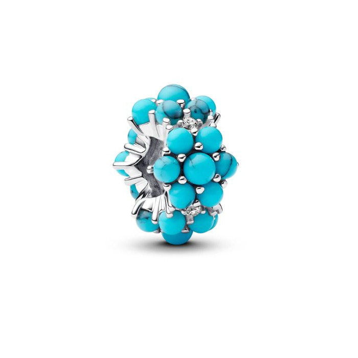 Juweel PANDORA CHARM 793897C02 