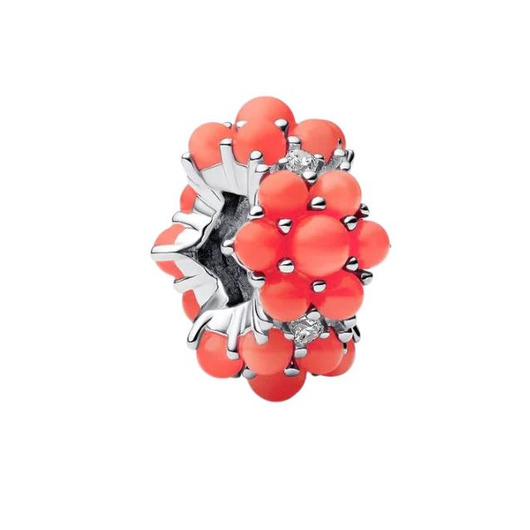 Juweel PANDORA CHARM 793897C01 Juweel PANDORA CHARM 793897C01