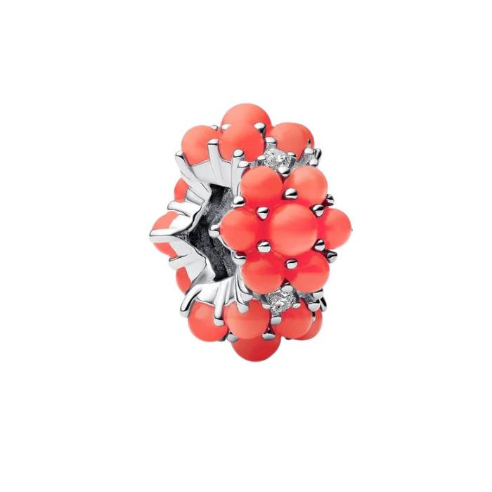 Juweel PANDORA CHARM 793897C01 