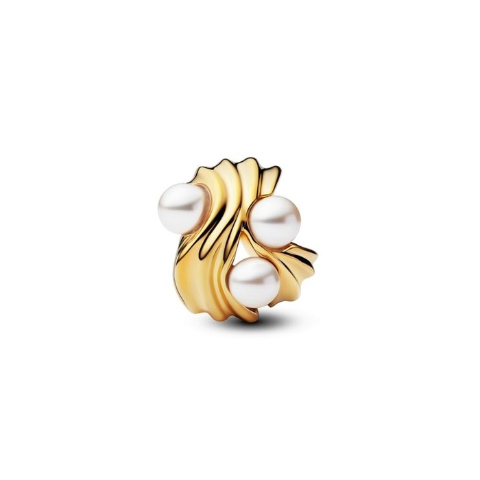 Juweel PANDORA CHARM 763915C01 