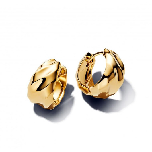 Juweel PANDORA HOOP EARRINGS 263874C00 Juweel PANDORA HOOP EARRINGS 263874C00