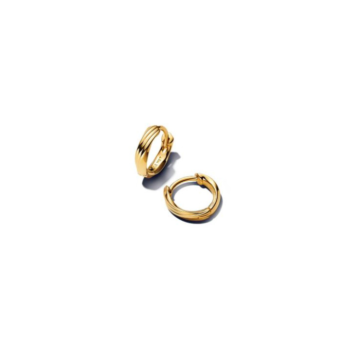 Juweel PANDORA HUGGIE EARRINGS 263871C00 