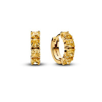 Juweel PANDORA HOOP EARRINGS 263851C02  Juweel PANDORA HOOP EARRINGS 263851C02