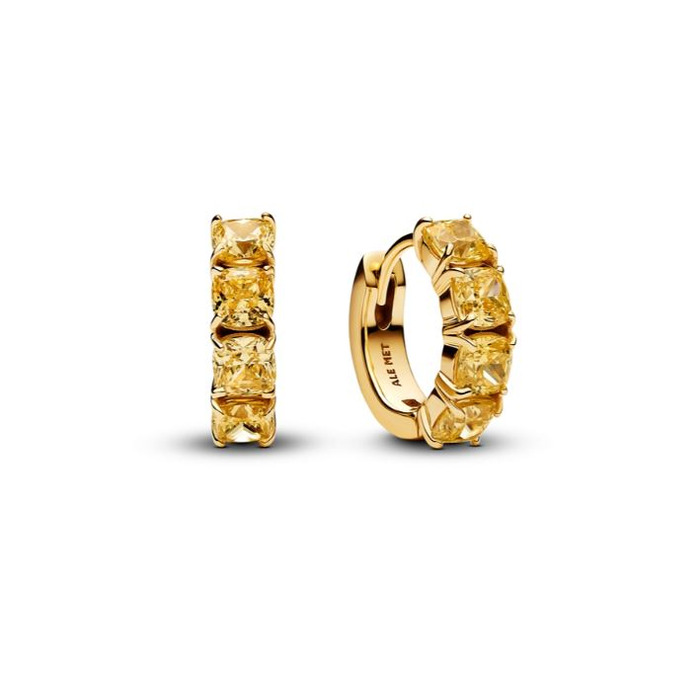 Juweel PANDORA HOOP EARRINGS 263851C02 