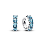 Juweel PANDORA EARRINGS 293851C01 Juweel PANDORA EARRINGS 293851C01