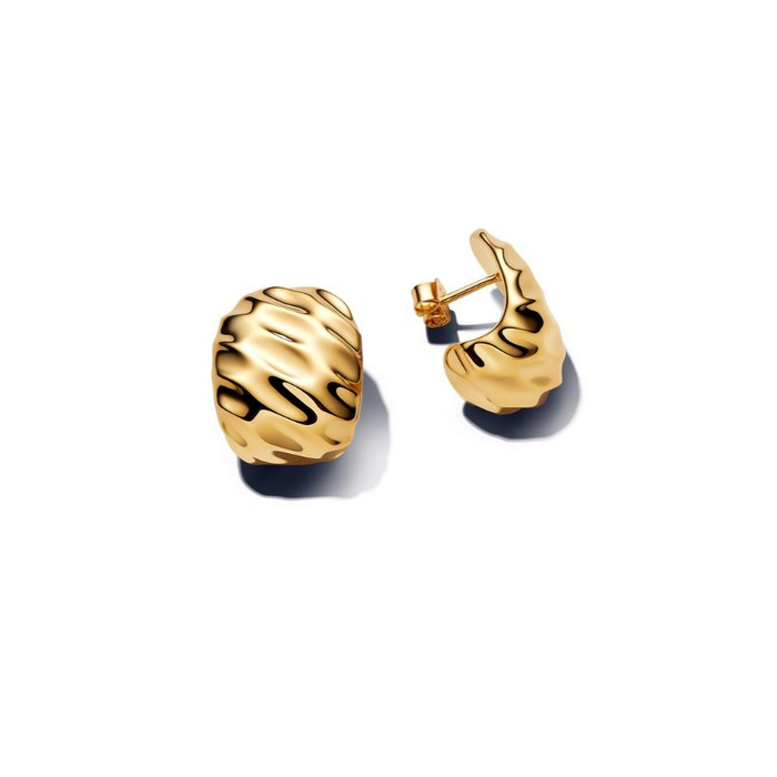 Juweel PANDORA HOOP EARRINGS 263872C00 