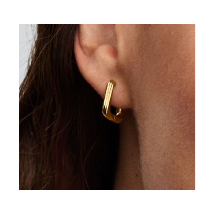 Juweel PANDORA HOOP EARRINGS 263875C00 