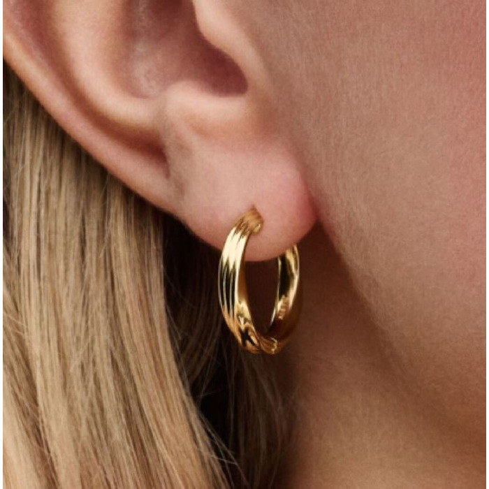 Juweel PANDORA HOOP EARRINGS 263878C00 