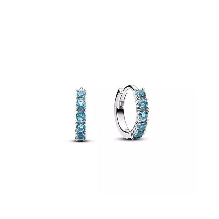Juweel PANDORA HUGGIE EARRINGS 293849C01 