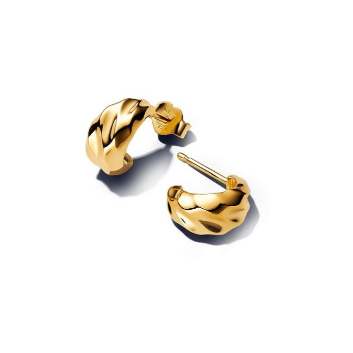 Juweel PANDORA HOOP EARRINGS 263873C00 